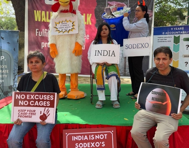 Animal-Rights-Groups-Slam-Sodexo-for-Neglecting-Cage-Free-Egg-Promise-in-India.jpg