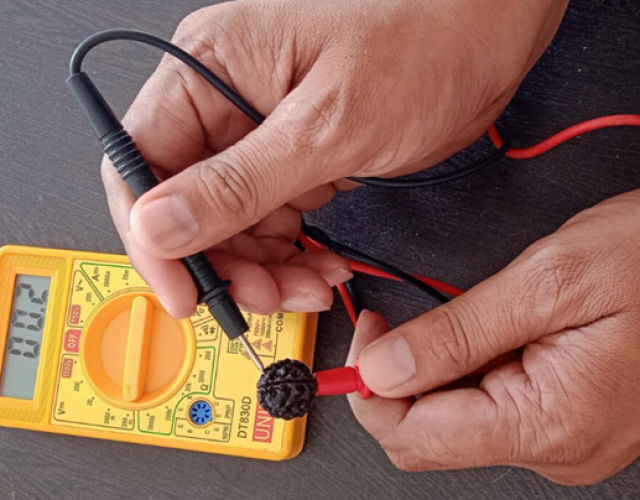Researcher-Unveils-Simplest-Method-for-Measuring-Bio-Electricity-in-Rudraksha.png